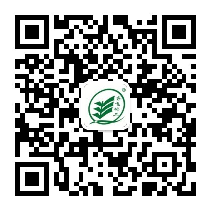 蘑菇视频APP黄入口